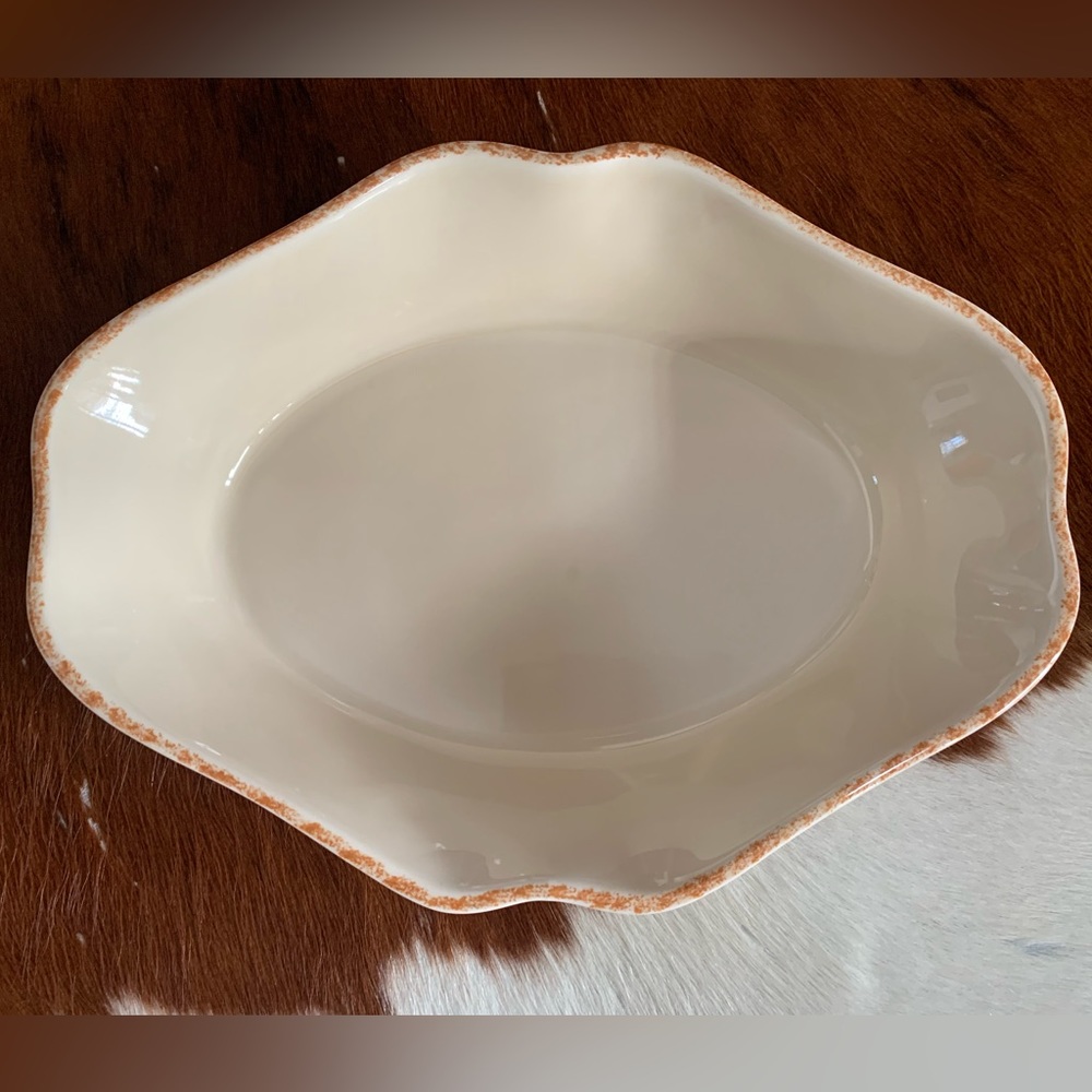 ZRIKE Dish
